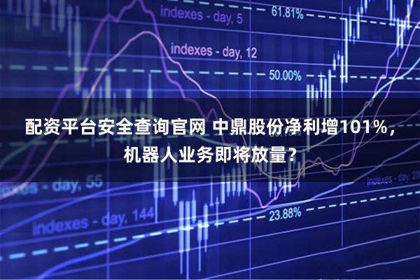 配资平台安全查询官网 中鼎股份净利增101%，机器人业务即将放量？